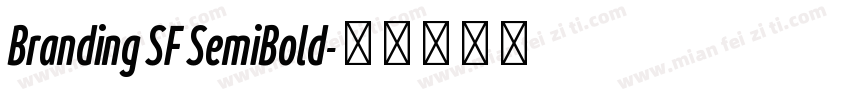 Branding SF SemiBold字体转换